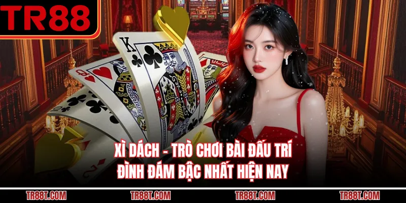 Xì Dách - Trò Chơi Bài Đấu Trí Đình Đám Bậc Nhất Hiện Nay